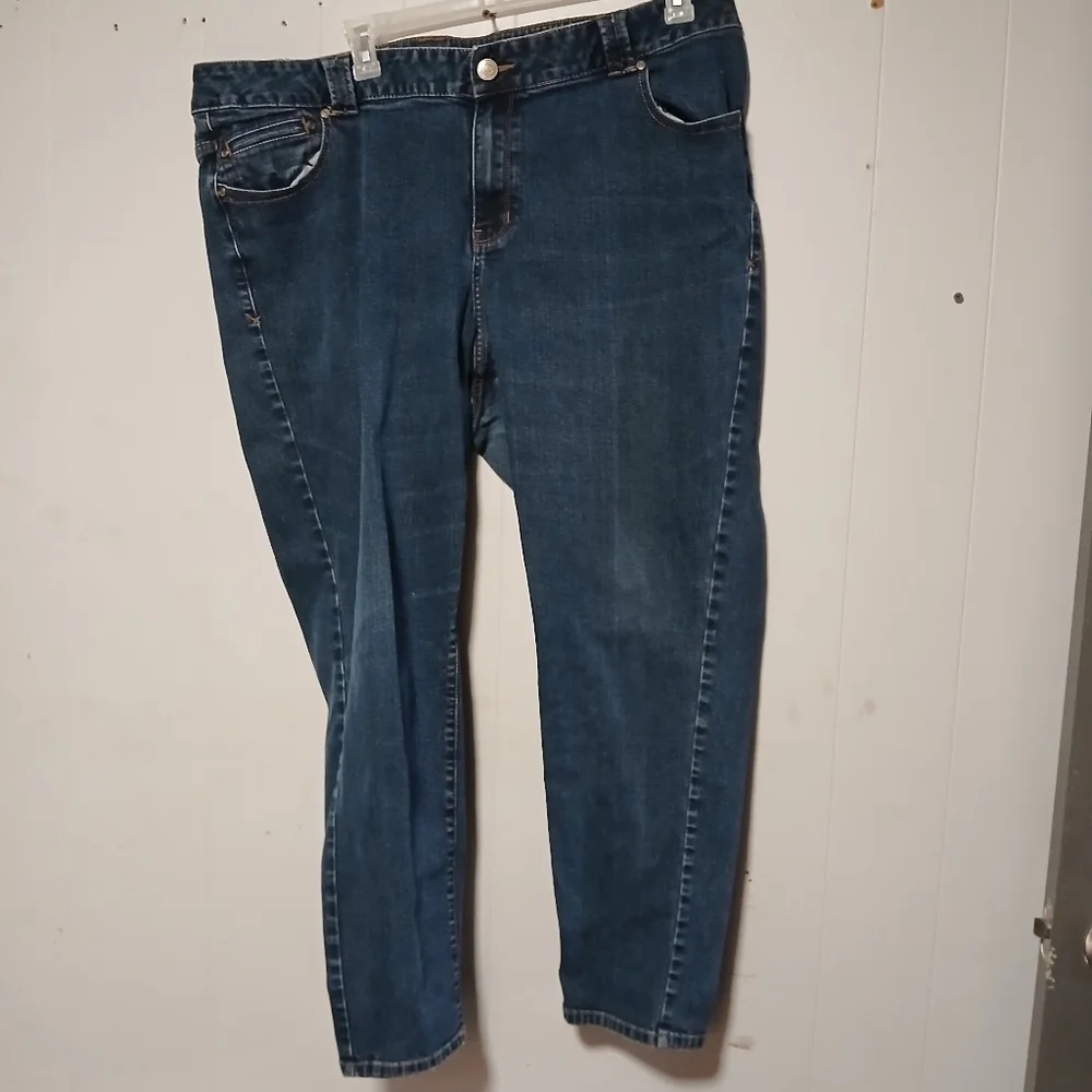 Lane Bryant skinny jeans..Genius fit. Size 24 average.